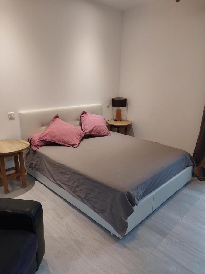 Studio Meuble Au Pied Du Mercantour Fontan Eksteriør billede